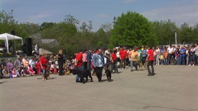 Κάντε κλικ για να δείτε την εικόνα σε πλήρες μέγεθος