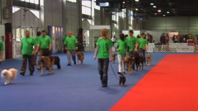 Натисніть, щоб побачити повний розмір