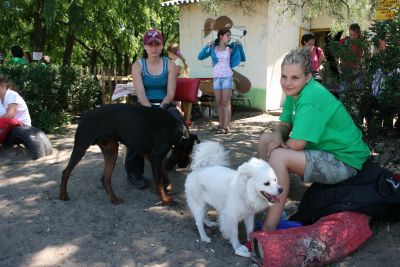 A teljes méretű képhez kattints ide