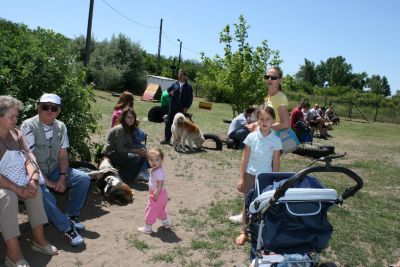 A teljes méretű képhez kattints ide