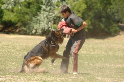 Κάντε κλικ για να δείτε την εικόνα σε πλήρες μέγεθος