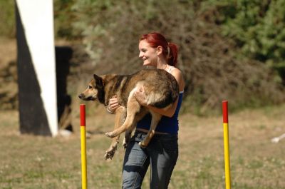 A teljes méretű képhez kattints ide