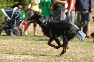 A teljes méretű képhez kattints ide