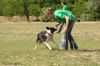 Filename=kep_7653.jpg
Filesize=745KiB
Dimensions=1072x712
Date added=Sep 25, 2012 kep_7653.jpg