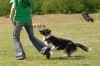 Filename=kep_7657.jpg
Filesize=700KiB
Dimensions=1072x712
Date added=Sep 25, 2012 kep_7657.jpg