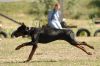 Filename=kep_7678.jpg
Filesize=628KiB
Dimensions=1072x712
Date added=Sep 25, 2012 kep_7678.jpg