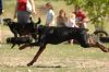 Filename=kep_7679.jpg
Filesize=648KiB
Dimensions=1072x712
Date added=Sep 25, 2012 kep_7679.jpg