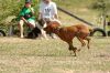 Filename=kep_7683.jpg
Filesize=706KiB
Dimensions=1072x712
Date added=Sep 25, 2012 kep_7683.jpg