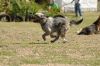 Filename=kep_7692.jpg
Filesize=721KiB
Dimensions=1072x712
Date added=Sep 25, 2012 kep_7692.jpg