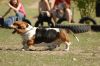 Filename=kep_7700.jpg
Filesize=679KiB
Dimensions=1072x712
Date added=Sep 25, 2012 kep_7700.jpg