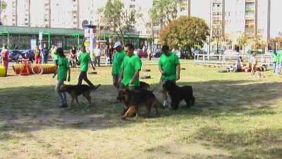 A teljes méretű képhez kattints ide