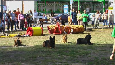 Klikni za ogled večje slike