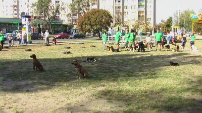 A teljes méretű képhez kattints ide