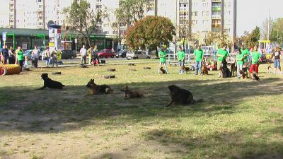 A teljes méretű képhez kattints ide