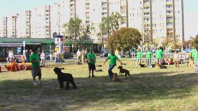 A teljes méretű képhez kattints ide