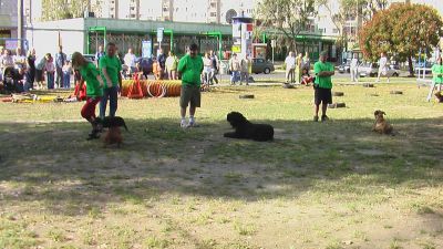 Kliknite da vidite sliku u punoj veličini