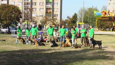 A teljes méretű képhez kattints ide