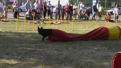 Κάντε κλικ για να δείτε την εικόνα σε πλήρες μέγεθος
