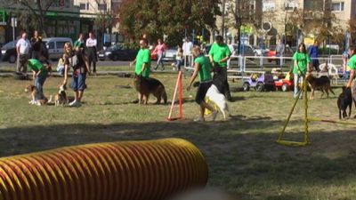 Κάντε κλικ για να δείτε την εικόνα σε πλήρες μέγεθος