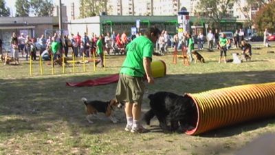 Натисніть, щоб побачити повний розмір