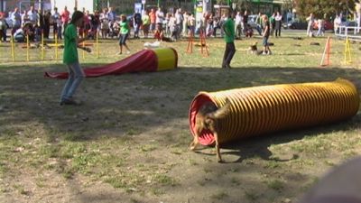 A teljes méretű képhez kattints ide