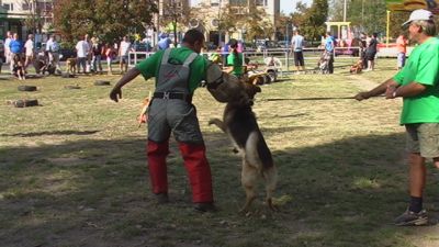 A teljes méretű képhez kattints ide