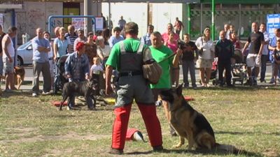 Pulsa para ver la imagen a tamaño completo