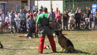 Click para ver la imagen a tamaño completo