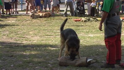 A teljes méretű képhez kattints ide