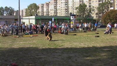 A teljes méretű képhez kattints ide