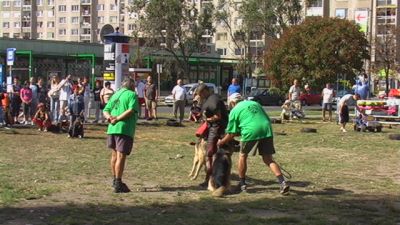 A teljes méretű képhez kattints ide