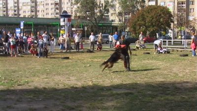 Κάντε κλικ για να δείτε την εικόνα σε πλήρες μέγεθος