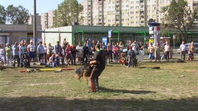 Kliknite da vidite sliku u punoj veličini