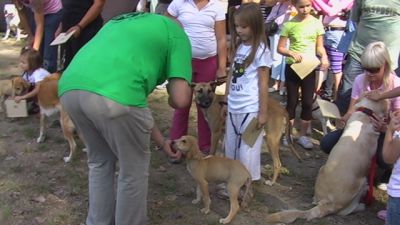 Kliknite da vidite sliku u punoj veličini