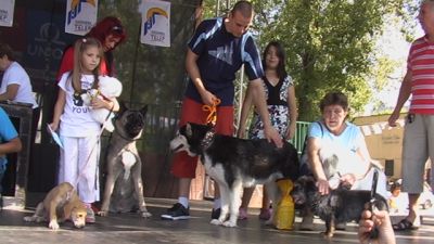 Натисніть, щоб побачити повний розмір