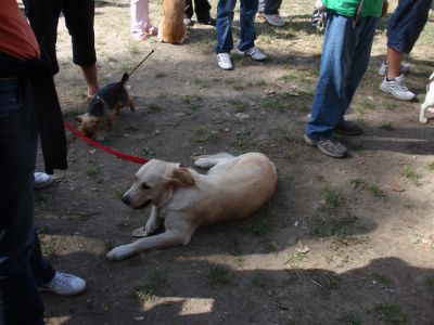 クリックでフルサイズのイメージを表示する