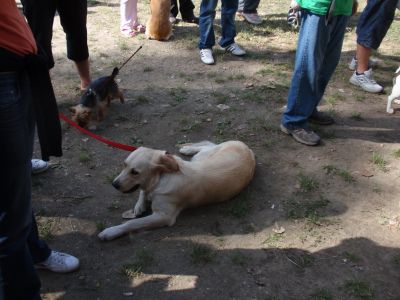 A teljes méretű képhez kattints ide