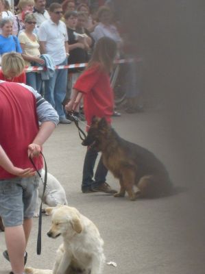 Klikkaa kuvaa nähdäksesi se täysikokoisena