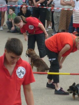 Kliknite da vidite sliku u punoj veličini