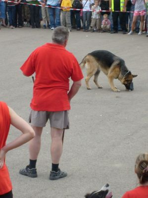 A teljes méretű képhez kattints ide