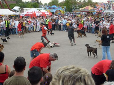 A teljes méretű képhez kattints ide