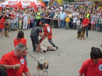 Klõpsa pildi vaatamiseks täissuuruses