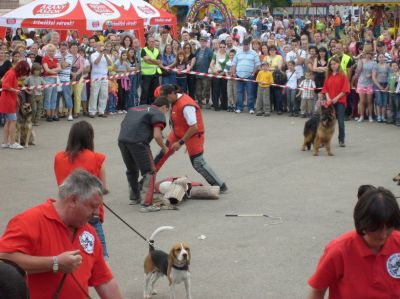 Klikni za ogled večje slike