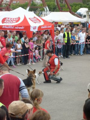 Klõpsa pildi vaatamiseks täissuuruses