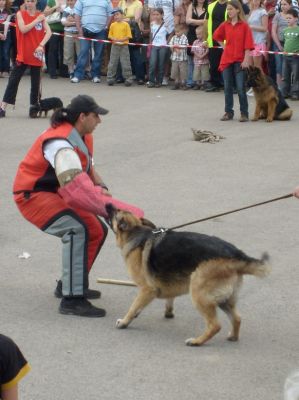 A teljes méretű képhez kattints ide