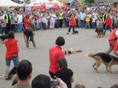 A teljes méretű képhez kattints ide