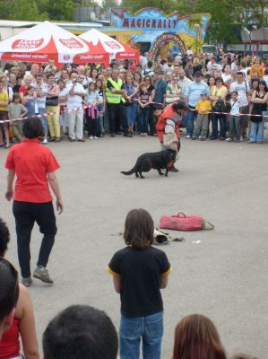 Kliknite da vidite sliku u punoj veličini