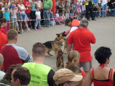 A teljes méretű képhez kattints ide