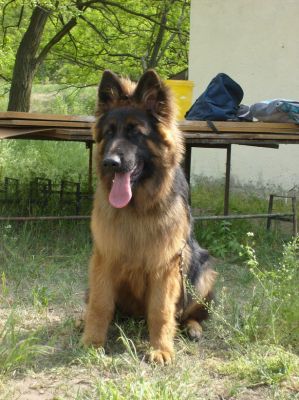 Kliknite pre zobrazenie veľkého obrázka