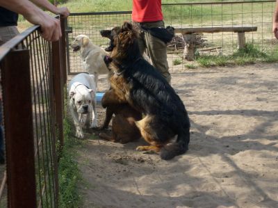 A teljes méretű képhez kattints ide